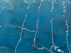 -SHRIMP CLUB万东餐饮钓虾·清吧