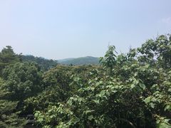 -金牛山大酒店(南北湖风景区店)