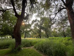 -承德避暑山庄景区