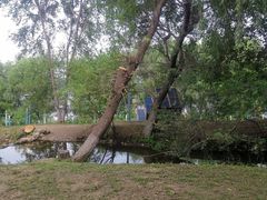 -长白岛森林公园