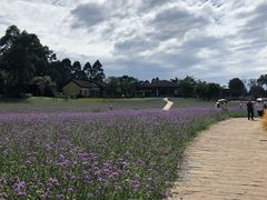 -保利石象湖景区