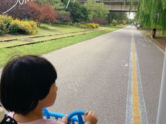 -永定河休闲森林公园