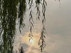 -百脉泉景区