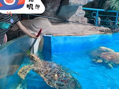 -泉城欧乐堡海洋极地世界