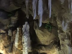 -御池园(顾村公园店)