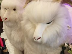 -新兴家喻酒家·羊城名宴(昌岗店)