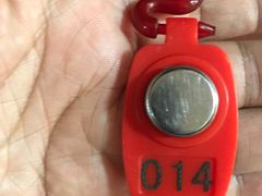 -翡翠湖迎宾馆·游泳馆