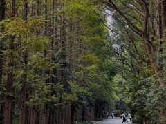 -同里国家湿地公园