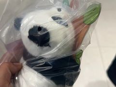 -熊猫邮局(少城店)