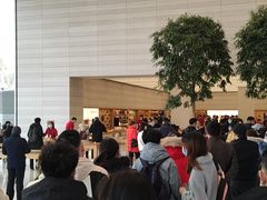 -Apple零售店(济南恒隆广场店)