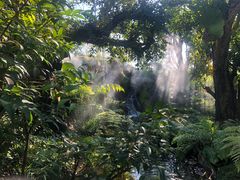 -Chom Cafe and Restaurant