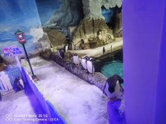 -成都浩海立方海洋公园