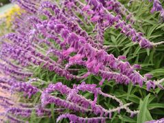 -云漫湖生态度假公园