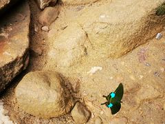 -广州白江湖森林公园