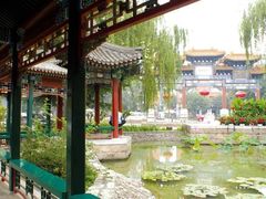 院子-紫玉御骊酒店