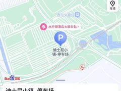 -迪士尼乐园停车场