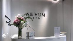-奥斯芬欧系贵族SPA