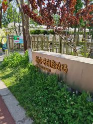 -前小桔亲子创意农场·草莓采摘·露营烧烤