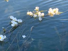 -丽江泸沽湖景区
