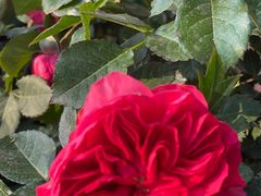 -人民公园(罗湖区)