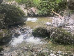 -牛背梁国家森林公园
