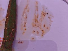 -小董哥烤串·爆汁大油边(故宫店)