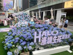 -HALO广场(梨园路店)