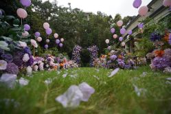 -老洋房花园饭店·宴会厅