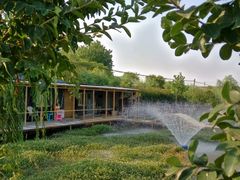 -同銮特种养殖场·龙虾垂钓