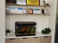 -皓洁口腔门诊部(金色雅园金涛苑店)