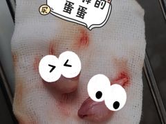 -瑞派紫金宠物医院24小时·骨科·中兽医·重症转诊中心(番禺大石院)