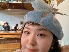 -点绛唇(鼓楼店)