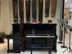 -谈·PIANO(金唐新光界店)