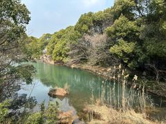 -白马涧龙池景区