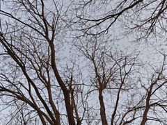 -首都师范大学(良乡校区)