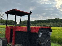 -苏州太湖西山岛开心农场