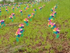 -西部长青自然儿童乐园