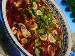 -凯菲厅海鲜姿造·海鲜自助·帝王蟹·龙虾(成都群光君悦酒店)