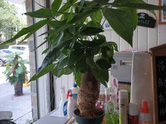 -武夷山旧街壹号溪岸旅馆(三姑度假区店)