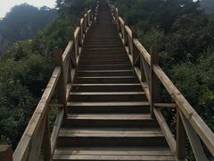 -大岭沟猕猴桃谷风景区