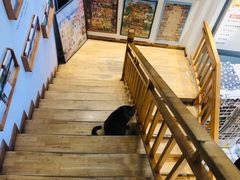 -猫的天空之城概念书店(杭州南宋御街店)