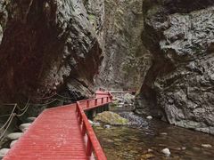 -牛背梁国家森林公园