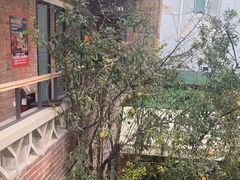 -羊门客在·烤盐池滩羊·川菜