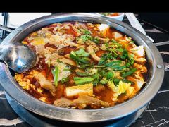 -古乐牛香·鲜牛肉牛杂火锅(高新店)