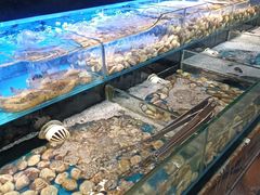 -苏格里岛·自助烤肉·火锅海鲜(金鼎广场店)