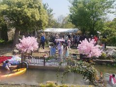 -鹅湖玫瑰文化园