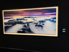 -罗红摄影艺术馆