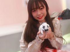 -浣熊柯尔鸭土拨鼠·电玩咖
