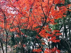 -汇龙潭