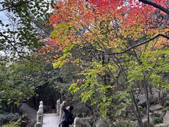 -崂山巨峰游览区